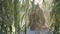 Closeup happy body positive girl play with willow tree at park. Sun nature lendscape. Blond woman