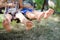 Closeup of happy kids sitting and swing on sunny countryside background.