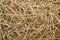 Closeup of a haystack
