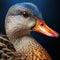 Closeup of the head of a duck featuring a vibrant yellow beak, AI-generated.