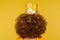 Closeup of head with golden crown on curly afro hairdo, concept of superior privileged status, big ambitions