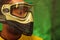 Closeup headshot man wearing green and black paintball protection facial mask covering entire face, transparent glass