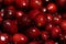 Closeup of the heap of Cornus mas, Cornelian cherry, European cornel or Cornelian cherry dogwood.