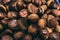 Closeup of a heap of hazelnuts