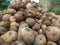 A closeup heap of potatoes lying in the field