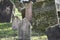 Closeup of Hebrew engravings on old stones in a graveyard under the sunlight