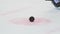 Closeup hockey arbiter takes away black puck at competition