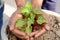 Closeup holding hands and caring green young plant,environment heal earth and save the world