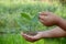 Closeup holding hands and caring green young plant,environment heal earth and save the world