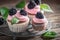 Closeup of homemade blackberry cupcake with berries and pink cream