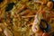 Closeup of homemade paella - a traditional Spanish rice dish with seafood