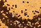 Closeup honeycomb background