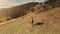 Closeup horse sun mountain valley aerial. Autumn nature landscape. Countryside pasture, farm animals