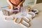 Closeup housewife hands placing nuts plastic package into container box on wooden table at kitchen