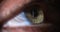 Closeup of human eye with gray green iris