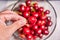 Closeup of human fingers holding cherry above the bowl of wet red plump juicy cherries