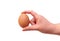 Closeup of a human hand holding an egg against a white background