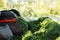 Closeup of human hands throwing green cut green grass from lawn mower on the ground. Compost, manure ecological waste