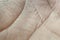 Closeup human skin texture. Macro hand skin pattern. Medicine and dermatology concept. Details of caucasian healthy skin with no