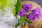 Closeup of ice cocktail in a pineapple glass of refreshing drink with ice cubes, flowers, green leaves of mint, brown