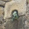 Closeup of an iguana hiding in a small rocky cave