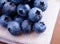 Closeup Image of Blueberries on the Fabric Serviette