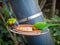 Closeup image of couple of colorful green parrots aeting seeds from feeder in zoo aviary