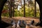 Closeup image couple legs lying together in tent