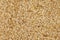 Closeup image of oats cereal background. Vegetarian healthy lifestyle. Natural food texture