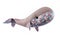 Closeup image of sofr toy whale pillow with ornament isolated