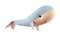 Closeup image of soft toy whale pillow with ornament isolated