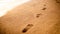 Closeup image of stright line of human footprints on the golden wet sand at sea beach on the sunset