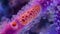 A closeup image of the tip of a growing pollen tube showing the formation of a delicate cell wall and the movement of