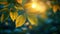 A closeup image of a tree branch showcasing the stark contrast between the sundrenched leaves and the deep shadows