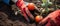 Closeup image of woman s hands in gardening gloves planting tomato.