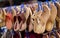 Closeup of Indian woman footwear in display