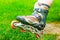 Closeup inline skates in the green grass