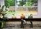 Closeup of Interior Kitchen Window with three Faux Decorative Pumpkins and view of yard