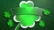 Closeup Irish shamrocks with ribbon