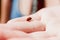 Closeup isolated cute ladybug on a hand