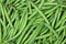 Closeup of isolated fresh green raw green bush beans phaseolus vulgaris