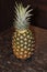 A closeup isolated photo of one pineapple