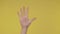 Closeup of isolated on yellow adult female hand counting from 0 to 5. Woman shows fist, then one, two, three, four, five