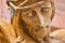 Closeup of Jesus Christ