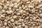 Closeup jobstears as background, coixseed,pearl barley.
