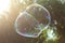 Closeup of joined giant soap bubbles in the sunlit park