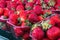 Closeup of juicy, fresh, ecologically produced, red strawberries