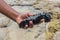 Closeup of kids hands holding and petting sea cucumber while