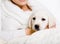 Closeup of Labrador puppy on the hands of woman