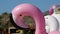 Closeup of a large inflatable pool pink flamingo in a pool during the daytime